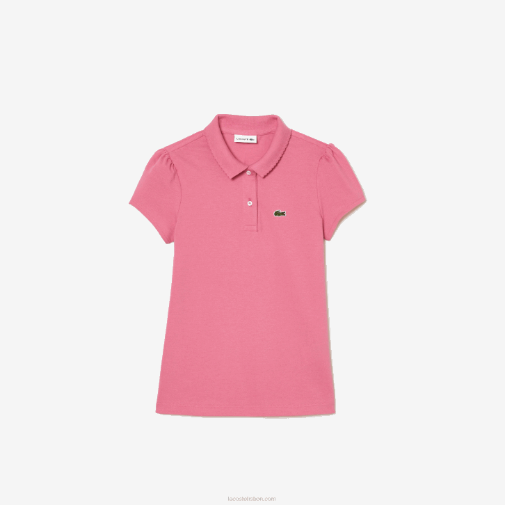 rosa 2r3