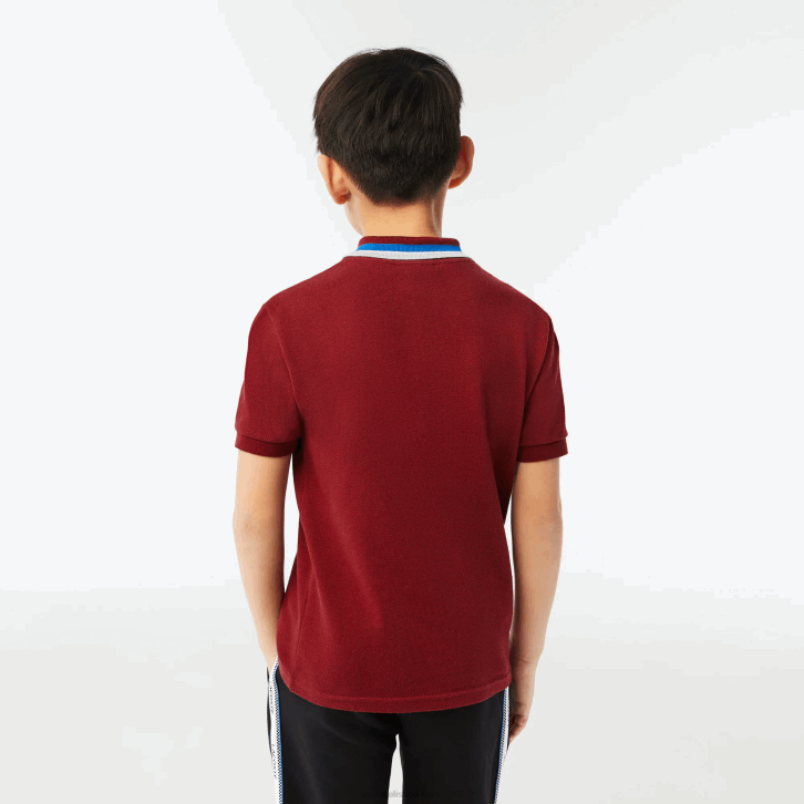 Rapazes Lacoste branco bordeaux x62 gola tricolor algodão petit pique polo 08D02954