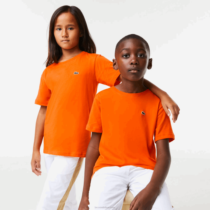 laranja z4d