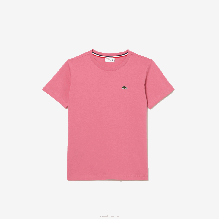 rosa 2r3