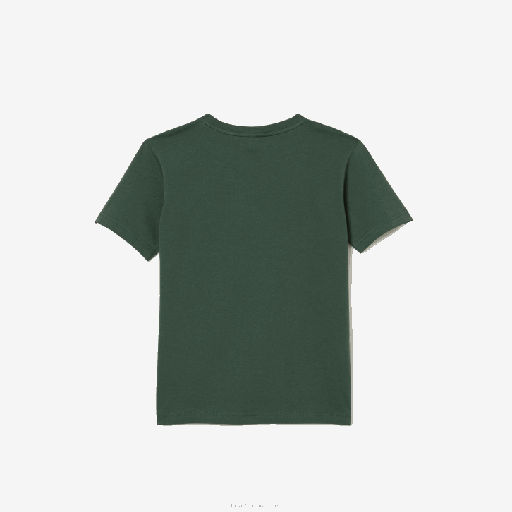 crianças Lacoste verde 5hx camiseta de jérsei de algodão gola redonda 08D03149