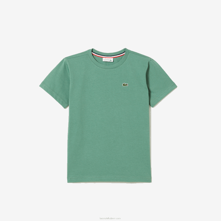 caqui verde kx5