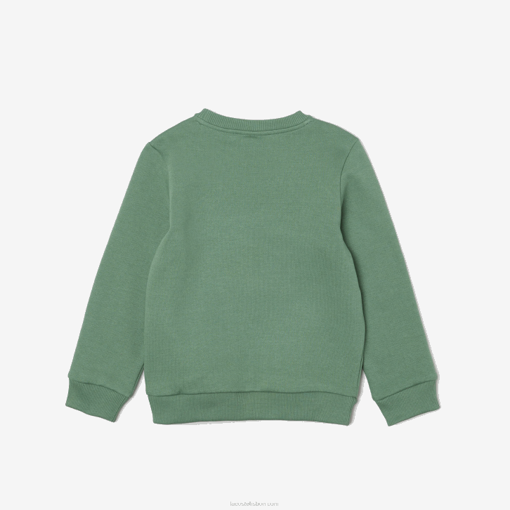 crianças Lacoste verde caqui kx5 moletom de flanela de algodão orgânico 08D03052