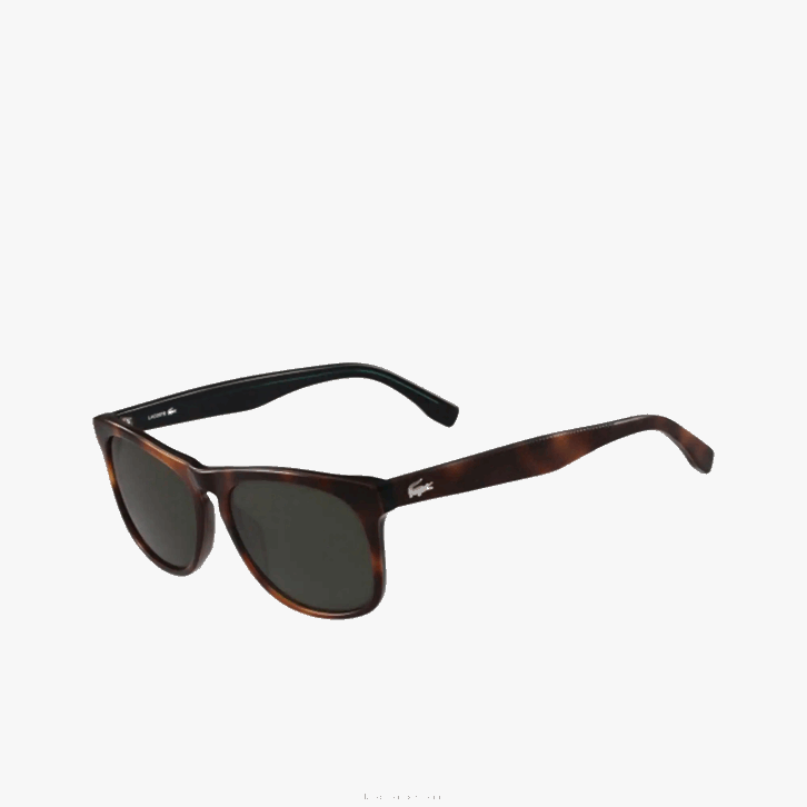 homens Lacoste havana brn 214 oculos de sol 08D02316