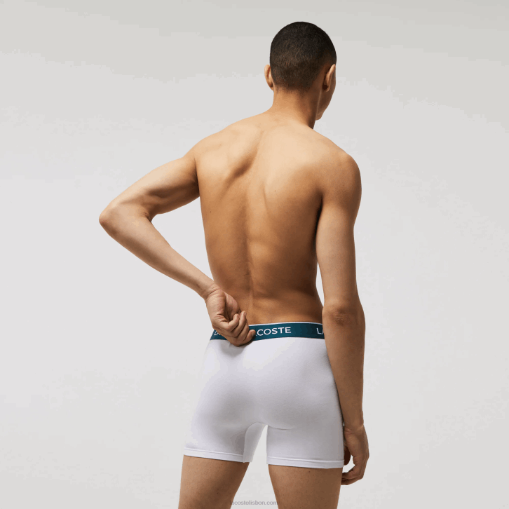 homens Lacoste branco 001 cueca boxer de algodão elástico longo com 3 unidades 08D01405