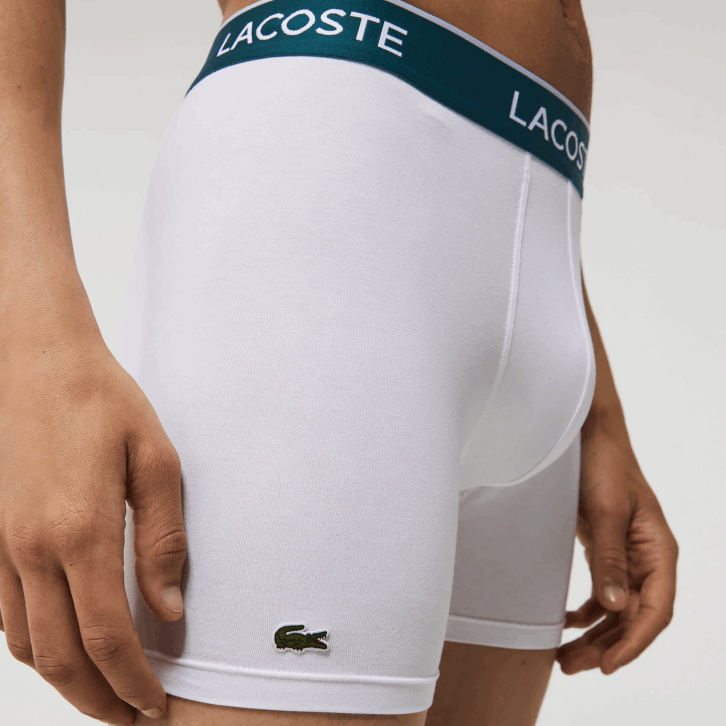 homens Lacoste branco 001 cueca boxer de algodão elástico longo com 3 unidades 08D01405
