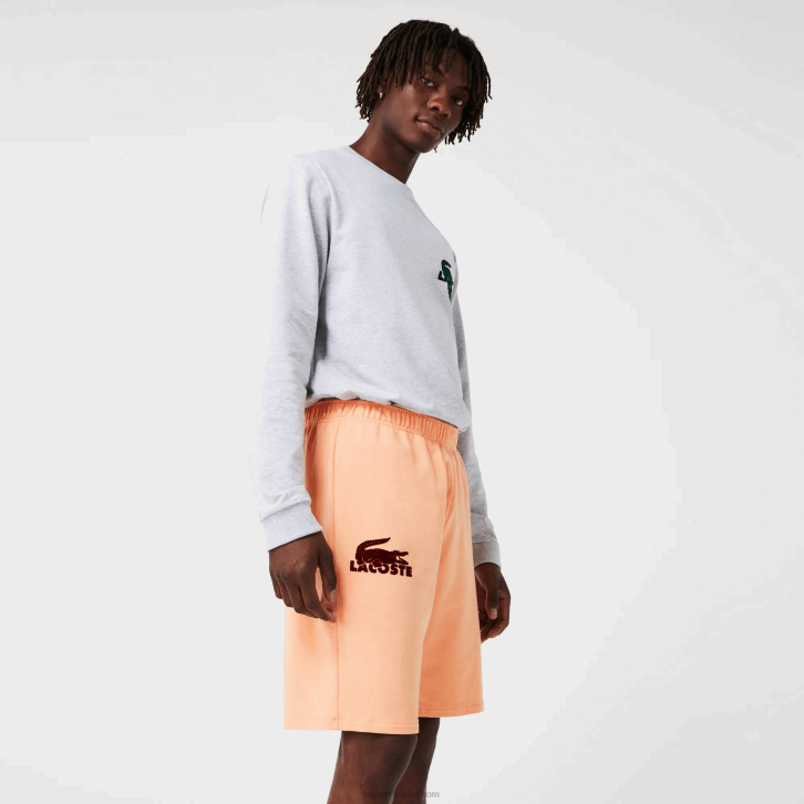 homens Lacoste laranja claro bordeaux rz6 shorts de lã de algodão de crocodilo de veludo 08D01482