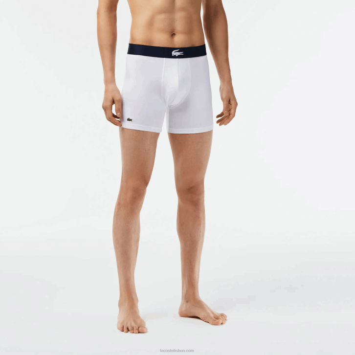 homens Lacoste verde azul marinho branco p52 cueca boxer de algodão elástico cintura de crocodilo pacote com 3 08D01368