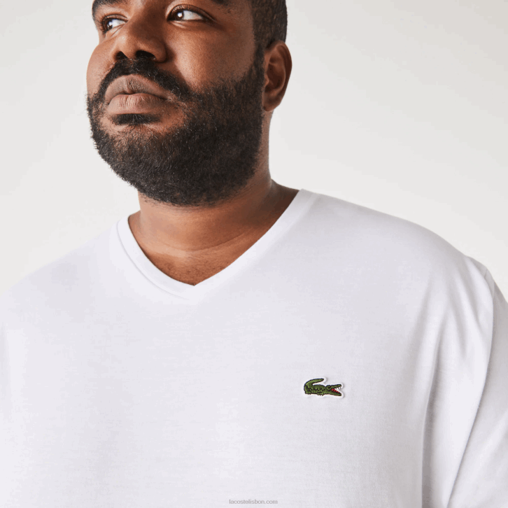 homens Lacoste branco 001 camisa polo de algodão com decote em v canelado regular fit (tamanho grande) 08D0707