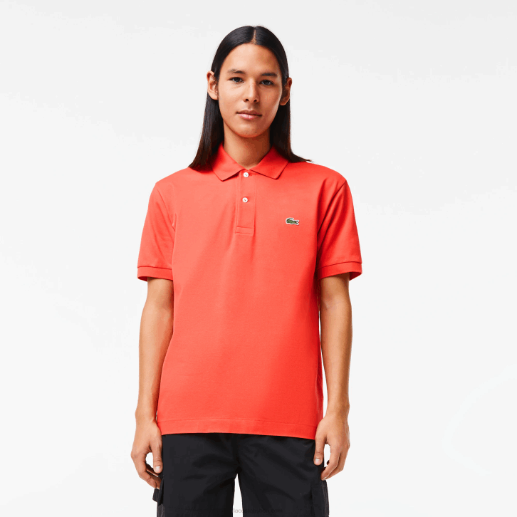laranja 02k