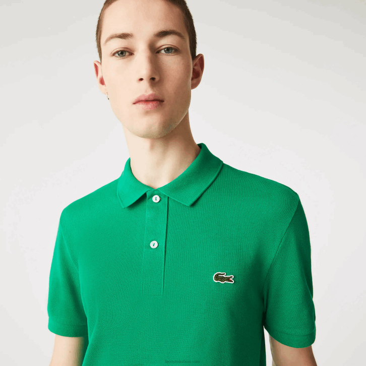 ldm verde