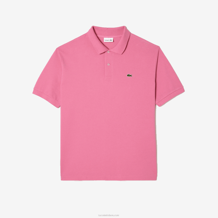 rosa 2r3