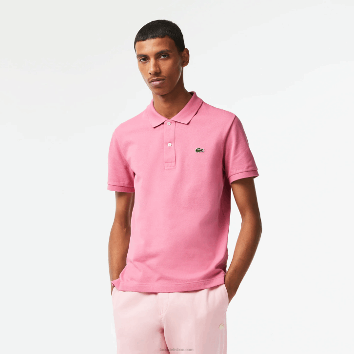 rosa 2r3