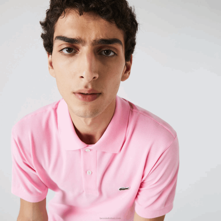 rosa 6us