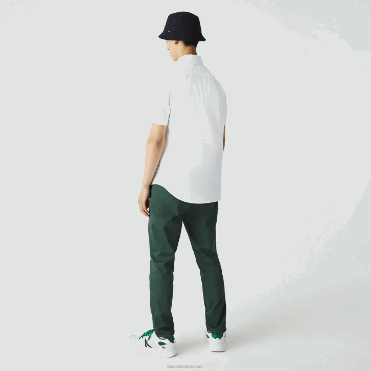 homens Lacoste branco 001 camisa de algodão de ajuste regular 08D0450
