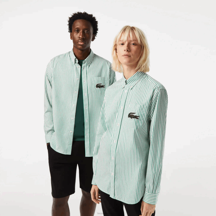 homens Lacoste branco verde 737 camisa de algodão de crocodilo grande de ajuste relaxado 08D0411