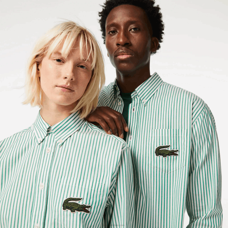 homens Lacoste branco verde 737 camisa de algodão de crocodilo grande de ajuste relaxado 08D0411