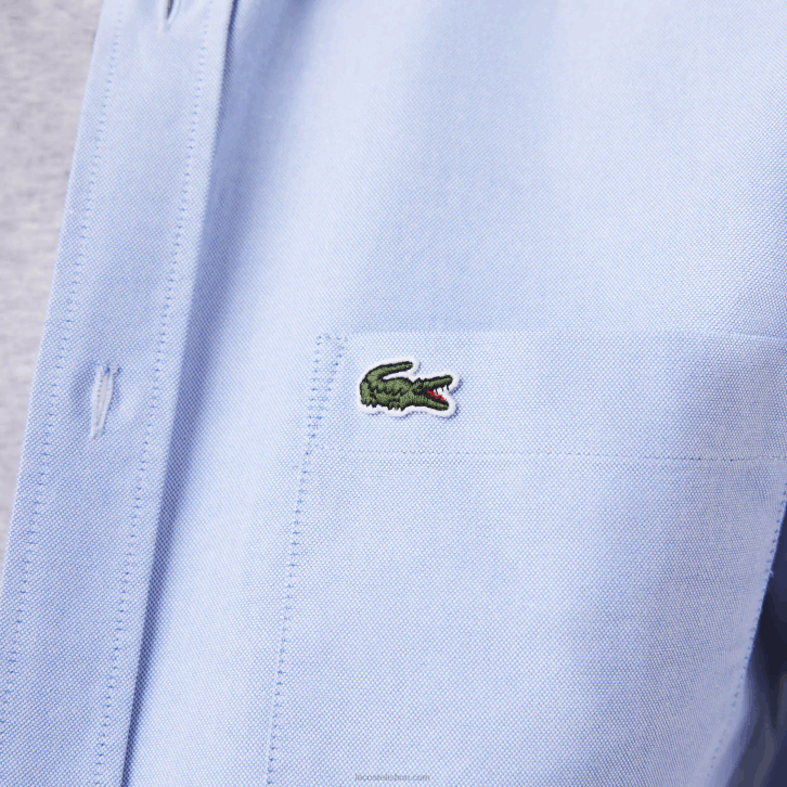 homens Lacoste hbp azul camisa de algodão oxford de ajuste regular 08D01466