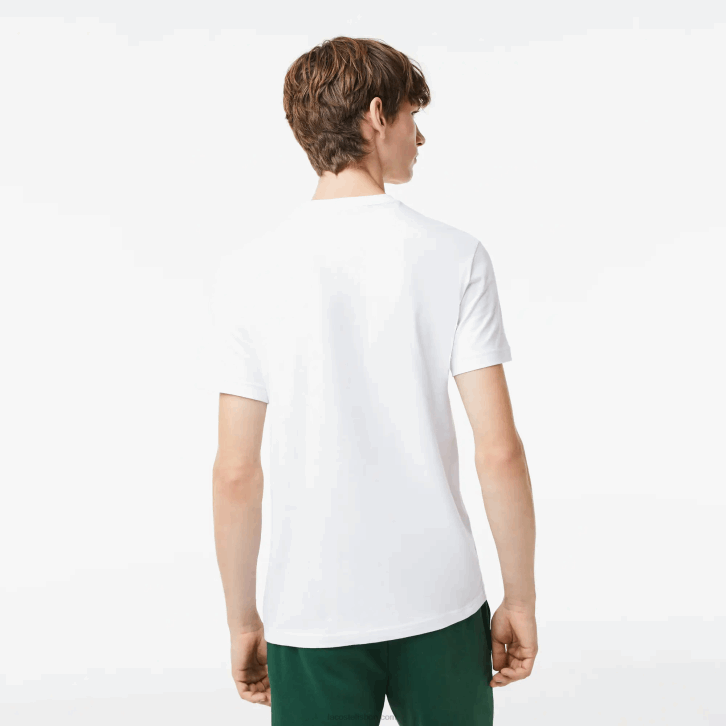 homens Lacoste branco 001 camiseta de jérsei de ajuste regular 08D0106