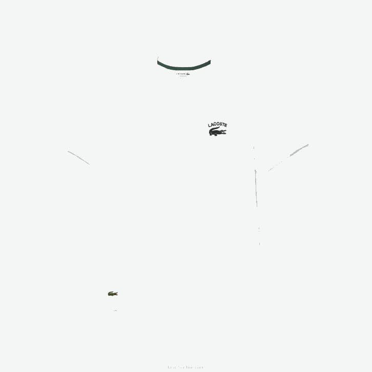 homens Lacoste branco 001 camiseta de jérsei de algodão de ajuste regular 08D0103