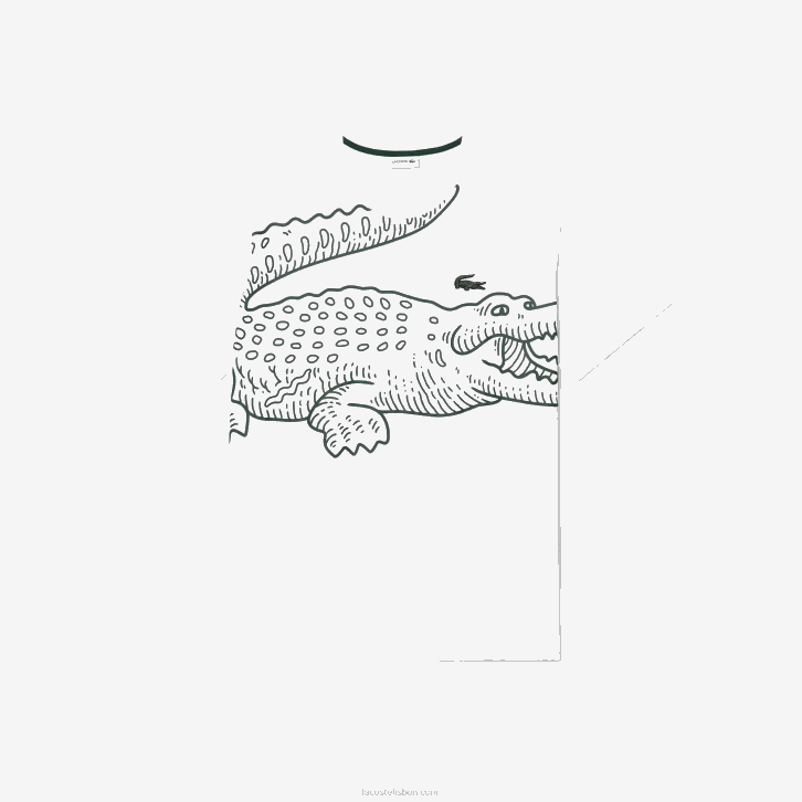 homens Lacoste branco 001 camiseta de jérsei folgada - tamanho grande - grande 08D0227