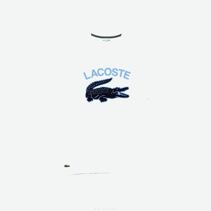 homens Lacoste branco 001 camiseta regular fit xl com estampa de crocodilo 08D0570