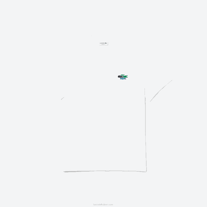 homens Lacoste branco 001 t-shirt crocodilos de algodão orgânico com gola redonda 08D0919