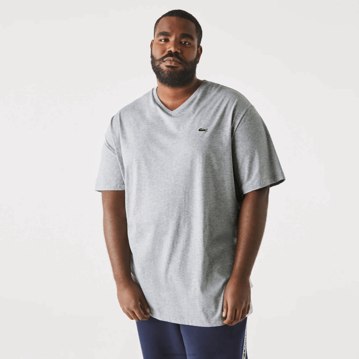 homens Lacoste chine cinza cca camiseta de jérsei com decote v 08D0801