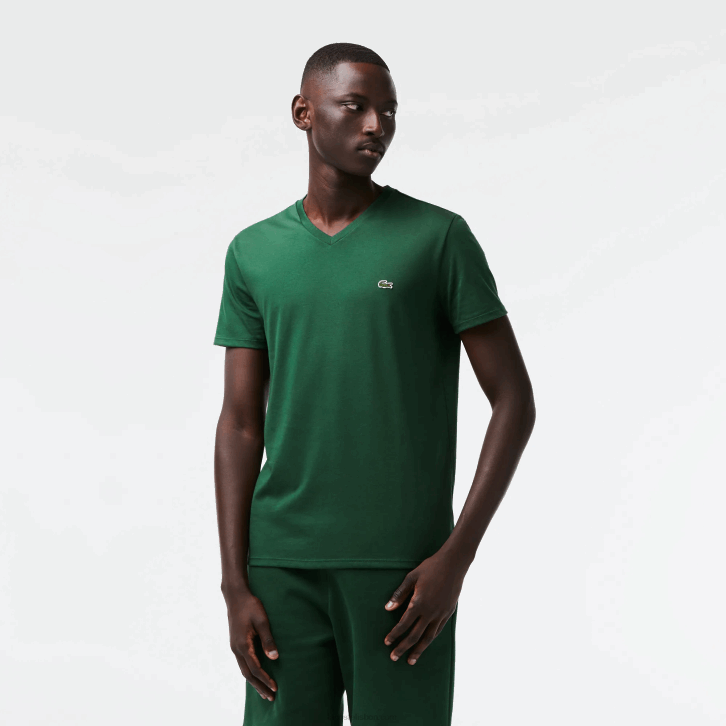 verde 132