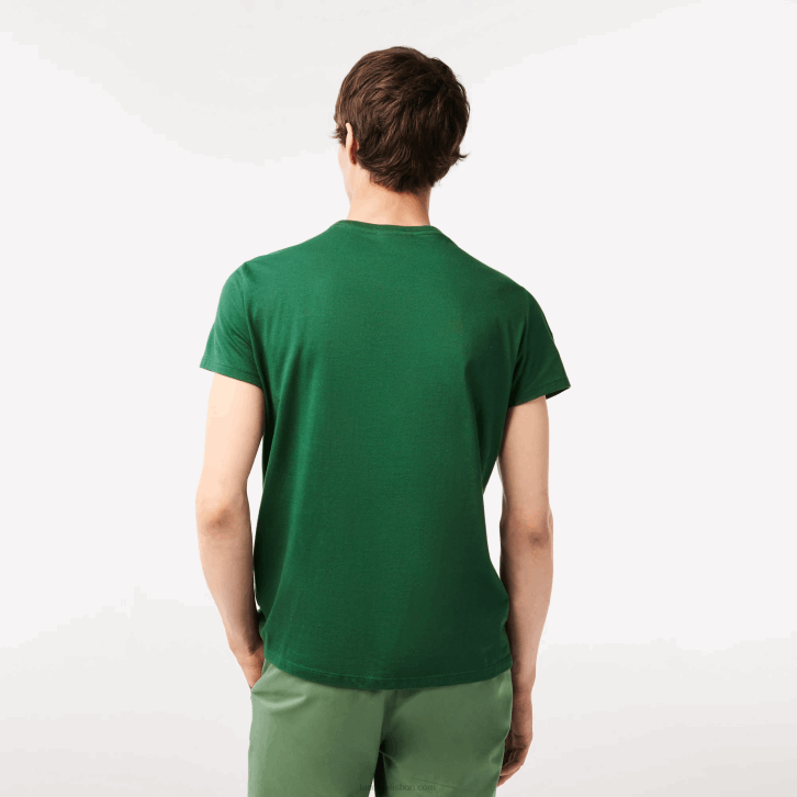 homens Lacoste verde 132 camiseta de jérsei de algodão pima decote careca 08D0618