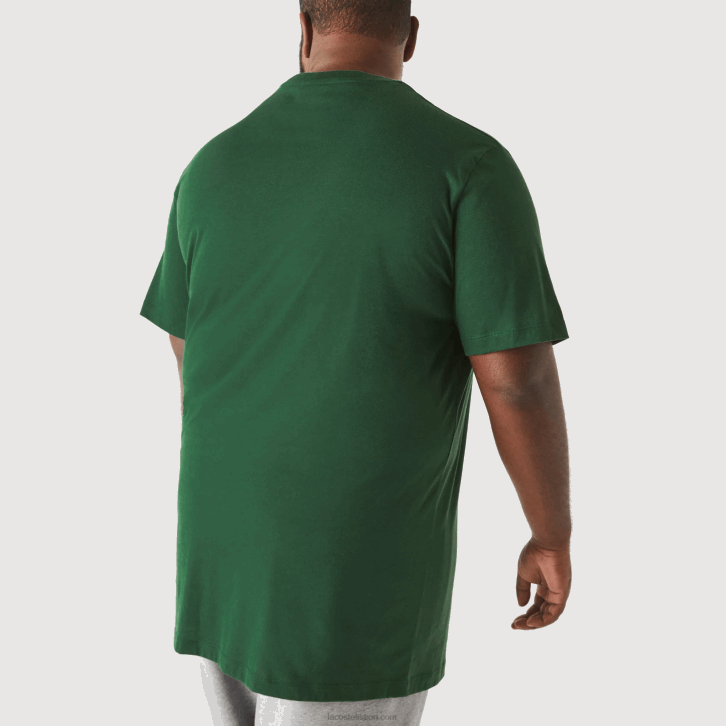 homens Lacoste verde 132 xl regular fit pima camiseta de jérsei de algodão 08D0684