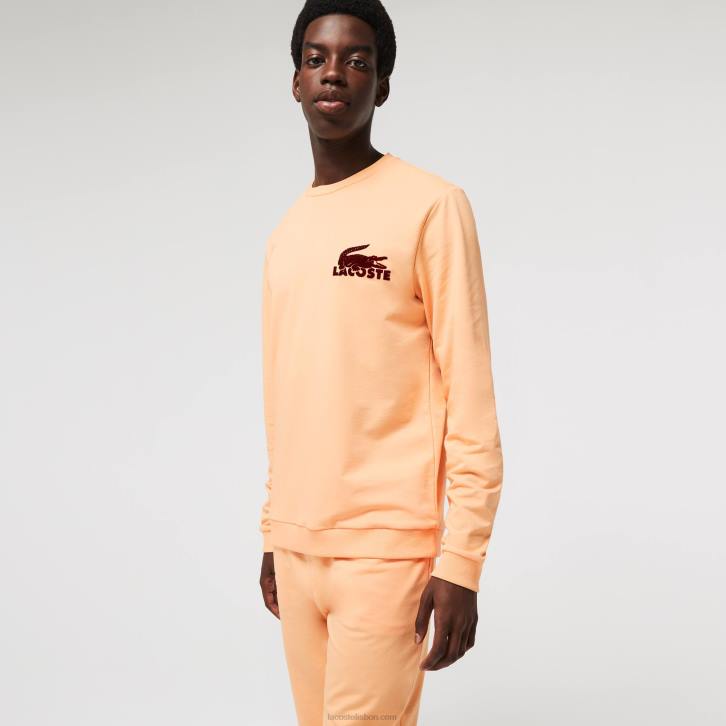 homens Lacoste laranja claro bordeaux rz6 moletom de lã de algodão 08D01389
