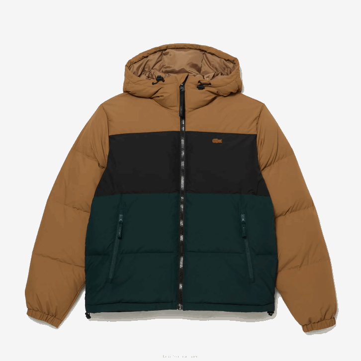 homens Lacoste marrom preto verde tpv Jaqueta acolchoada colorblock repelente de água 08D01227