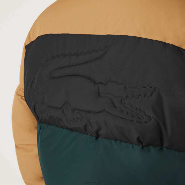 homens Lacoste marrom preto verde tpv Jaqueta acolchoada colorblock repelente de água 08D01227