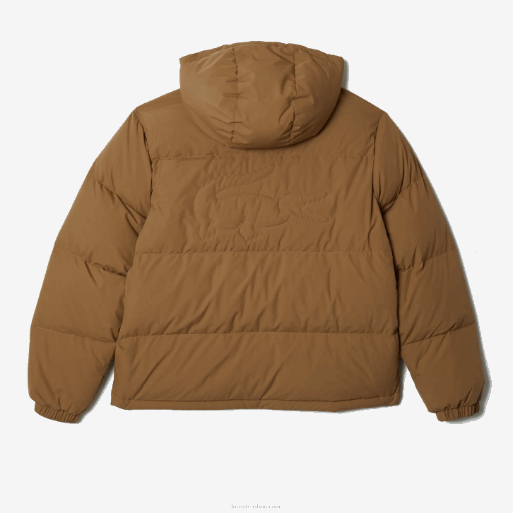 homens Lacoste marrom z0w jaqueta acolchoada repelente de água 08D01231