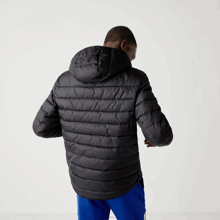 homens Lacoste preto c31 Jaqueta acolchoada resistente à água com capuz esportivo 08D01319