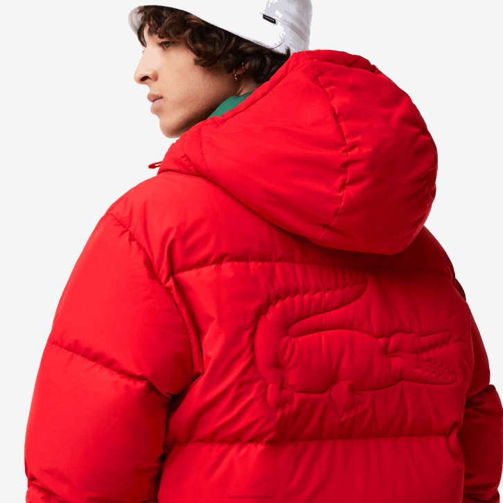 homens Lacoste vermelho 240 jaqueta acolchoada repelente de água 08D01212