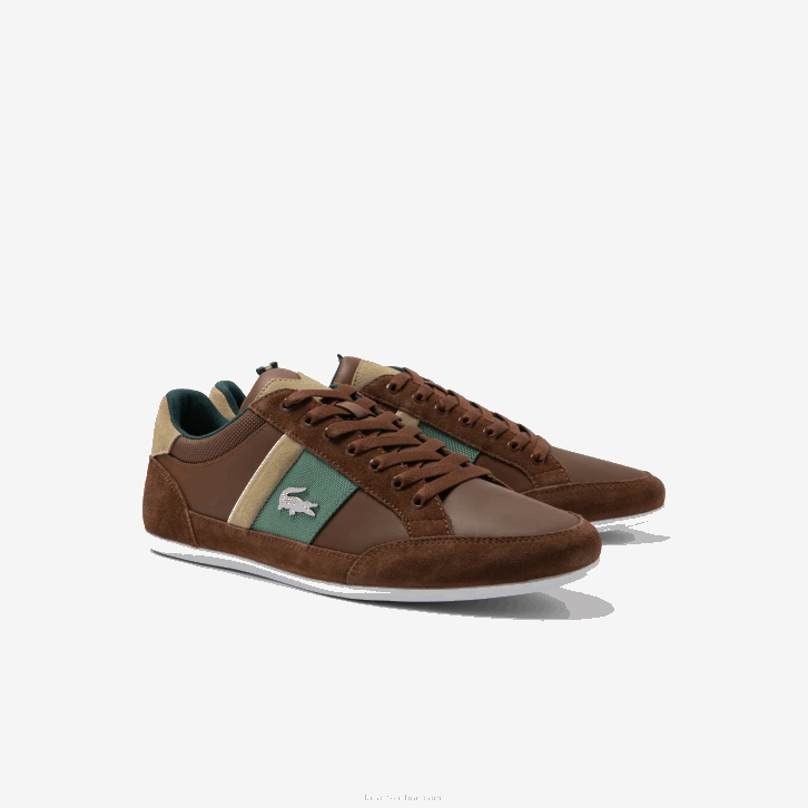 homens Lacoste marrom verde escuro 2a1 tênis de couro chaymon 08D01736