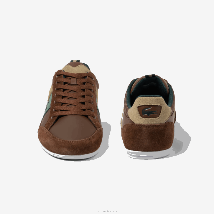 homens Lacoste marrom verde escuro 2a1 tênis de couro chaymon 08D01736