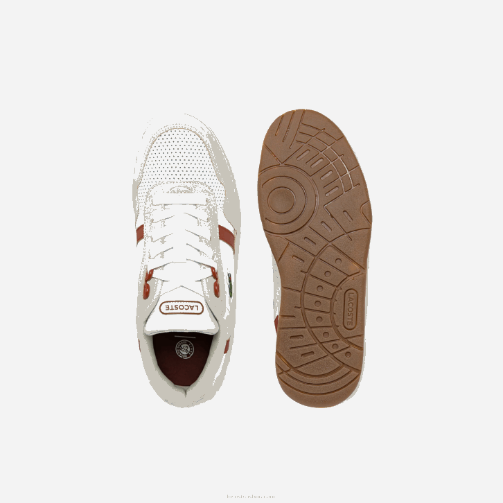 mulheres Lacoste branco e marrom 385 tênis roland garros com clipe em t 08D02746